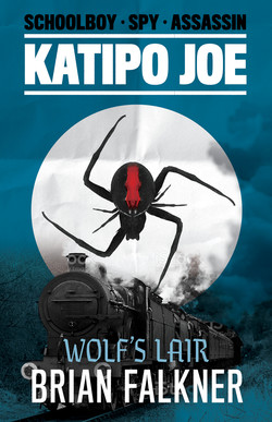 Katipo Joe Wolfs Lair